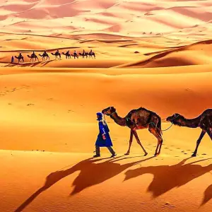Explore Tailor-Made 11 Days Algeria Desert Trip, Daily Start & Private Guide for 11 days with Agate Travel and discover unforgettable experiences - Photo 11