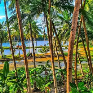 Explore Private 8 Day Philippines Palawan Tour Package, Daily Start & Exclusive Car for 8 days with Agate Travel and discover unforgettable experiences - Photo 3