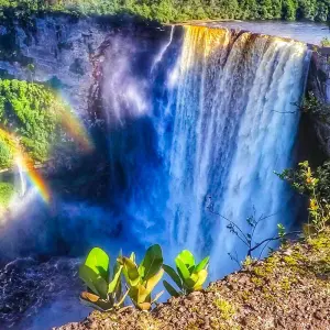 Explore Customized Colombia Tour with Caribbean Coast, Private Car & Guide for 12 days with Agate Travel and discover unforgettable experiences - Photo 5