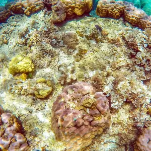 Explore Private 8 Day Philippines Palawan Tour Package, Daily Start & Exclusive Car for 8 days with Agate Travel and discover unforgettable experiences - Photo 4