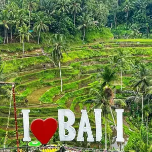 Explore Personalized Indonesia Family Holiday, Daily Start & Private Car for 14 days with Agate Travel and discover unforgettable experiences - Photo 4