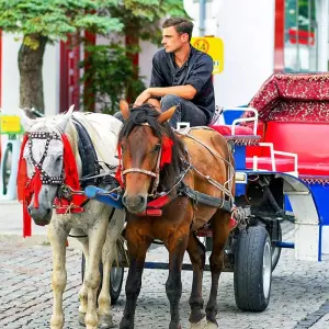 Explore Private Best Georgia Family Tour, Daily Starts and Exclusive Car for 8 days with Agate Travel and discover unforgettable experiences - Photo 4