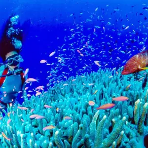 Explore Tailor-made Two Weeks Philippines Family Tour, Daily Start & Private Car for 14 days with Agate Travel and discover unforgettable experiences - Photo 7