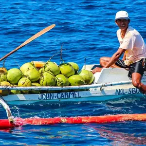 Explore Private 8 Day Philippines Palawan Tour Package, Daily Start & Exclusive Car for 8 days with Agate Travel and discover unforgettable experiences - Photo 9