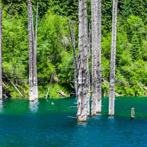 Explore Private South Kazakhstan Tour, Daily Stars and Exclusive Car for 9 days with Agate Travel and discover unforgettable experiences - Photo 8