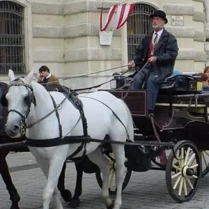 Explore Private Austria Tour to Vienna & Salzburg, Daily Departure for 4 days with Agate Travel and discover unforgettable experiences - Photo 4