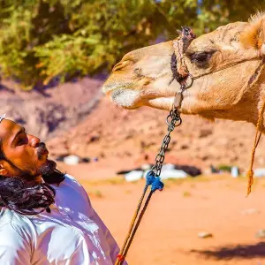 Explore Tailor-Made Saudi Arabia Family Vacation, Daily Start & Private Guide for 7 days with Agate Travel and discover unforgettable experiences - Photo 2