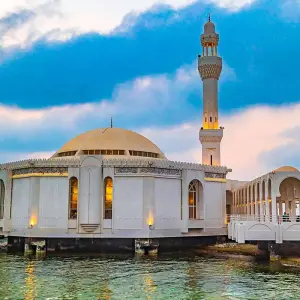 Explore Tailor-Made Saudi Arabia Family Vacation, Daily Start & Private Guide for 7 days with Agate Travel and discover unforgettable experiences - Photo 11