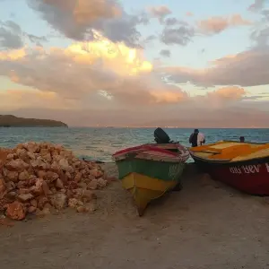Explore Tailor-Made Jamaica Family Trip, Daily Depart & Private Guide for 10 days with Agate Travel and discover unforgettable experiences - Photo 6
