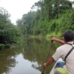 Explore Tailor-Made Private Guyana Tour with Daily Departure for 5 days with Agate Travel and discover unforgettable experiences - Photo 3