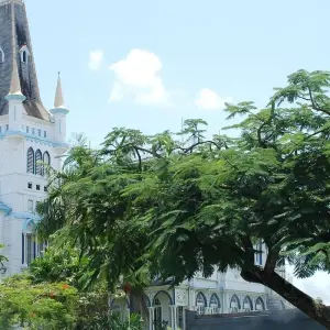 Explore Tailor-Made Private Guyana Tour with Daily Departure for 5 days with Agate Travel and discover unforgettable experiences - Photo 7
