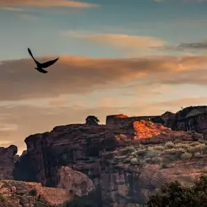 Explore Hubli to Badami & Hampi Heritage Odyssey for 4 days with Agora Voyages OPC Pvt Ltd and discover unforgettable experiences - Photo 7