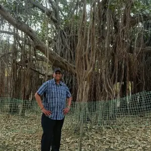 Explore Sacred Stone Saga: Caves & Temples Odyssey for 13 days with Agora Voyages OPC Pvt Ltd and discover unforgettable experiences - Photo 2