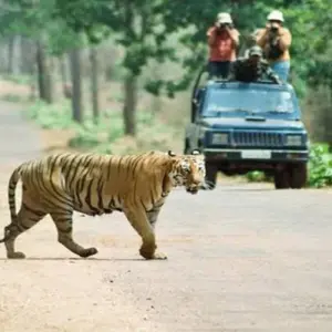 Explore Famous 14 Days India Nepal Wildlife Tour with Taj Mahal for 14 days with Agra Travels Service & Tours and discover unforgettable experiences - Photo 7
