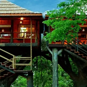 Explore 12 Days Romantic Southern India Tour from Kochi for 12 days with Agra Travels Service & Tours and discover unforgettable experiences - Photo 5
