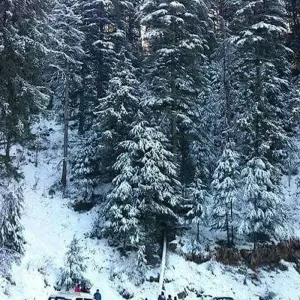 Explore Classical 11 Days Golden Triangle Tour With Shimla and Manali for 11 days with Agra Travels Service & Tours and discover unforgettable experiences - Photo 6