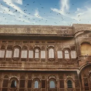 Explore Taj Mahal and Wildlife with Royal Stay for 11 days with Agra Travels Service & Tours and discover unforgettable experiences - Photo 6