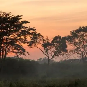 Explore Splendors of Sri Lanka for 6 days with Aitken Spence Travel and discover unforgettable experiences - Photo 2