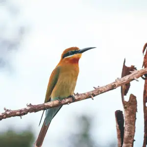 Explore The Pick of Sri Lanka for 9 days with Aitken Spence Travel and discover unforgettable experiences - Photo 4