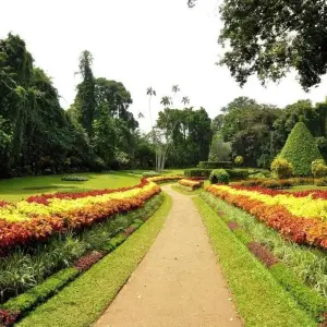 Explore Best of Sri Lanka 7 Days, Private Tour for 7 days with Aitken Spence Travel and discover unforgettable experiences - Photo 2