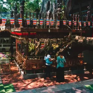Explore Experience the Central Hills for 3 days with Aitken Spence Travel and discover unforgettable experiences - Photo 2