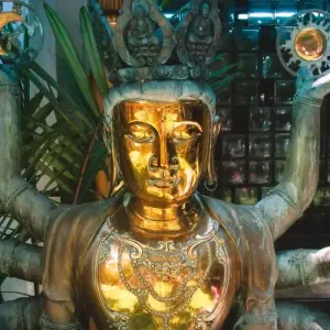 Explore City Break, Colombo Stopover for 3 days with Aitken Spence Travel and discover unforgettable experiences - Photo 2