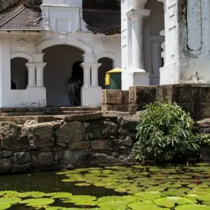 Explore Wild, Pristine Sri Lanka and its Heritage for 4 days with Aitken Spence Travel and discover unforgettable experiences - Photo 2