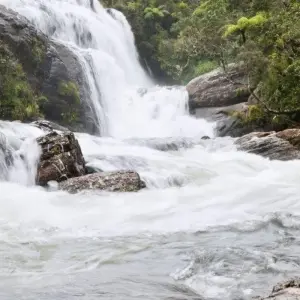 Explore Professional Birding Tour for 9 days with Aitken Spence Travel and discover unforgettable experiences - Photo 7