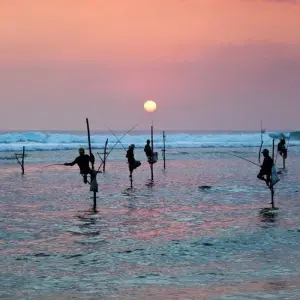 Explore Best of Sri Lanka 7 Days, Private Tour for 7 days with Aitken Spence Travel and discover unforgettable experiences - Photo 7