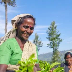 Explore The Pick of Sri Lanka for 9 days with Aitken Spence Travel and discover unforgettable experiences - Photo 10
