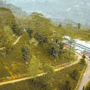 Explore The Pick of Sri Lanka for 9 days with Aitken Spence Travel and discover unforgettable experiences - Photo 11