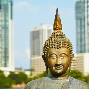 Explore Best of Sri Lanka 7 Days, Private Tour for 7 days with Aitken Spence Travel and discover unforgettable experiences - Photo 10