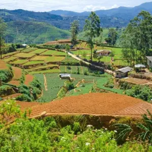 Explore Experience the Central Hills for 3 days with Aitken Spence Travel and discover unforgettable experiences - Photo 10