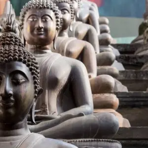 Explore Best of Sri Lanka, 10 Days for 10 days with Aitken Spence Travel and discover unforgettable experiences - Photo 7