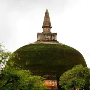 Explore Best of Sri Lanka, 10 Days for 10 days with Aitken Spence Travel and discover unforgettable experiences - Photo 10