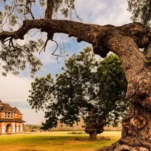Explore Heritage, Wilderness, and Coastal Bliss: Hubli to Hampi and Goa Escape for 7 days with Agora Voyages OPC Pvt Ltd and discover unforgettable experiences - Photo 6