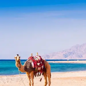 Explore NILE AND BEACH EGYPT TOURS for 14 days with Alacart Travel Egypt and discover unforgettable experiences - Photo 2