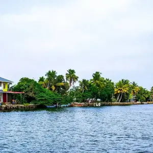 Explore Alleppey Backwaters Tour with Athirapally Waterfalls for 3 days with Alkof Holidays and discover unforgettable experiences - Photo 2