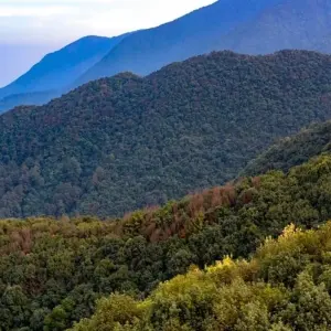 Explore Manaslu Circuit Trek for 18 days with All Nepal Hiking (P) ltd and discover unforgettable experiences - Photo 4