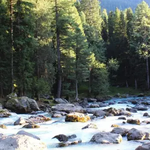 Explore Escorted Kashmir Ladakh Tour Package for 15 days with Alkof Holidays and discover unforgettable experiences - Photo 4