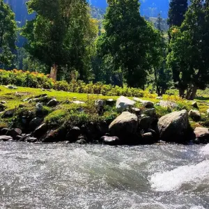 Explore Short Trip to Kashmir for 5 days with Alkof Holidays and discover unforgettable experiences - Photo 5