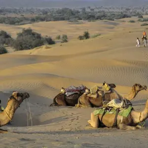 Explore Luxury Rajasthan Delhi Tour for 12 days with Alkof Holidays and discover unforgettable experiences - Photo 10