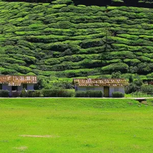 Explore Grand Tour of India for 51 days with Alkof Holidays and discover unforgettable experiences - Photo 8