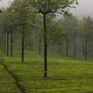 Explore Grand Tour of India for 51 days with Alkof Holidays and discover unforgettable experiences - Photo 11