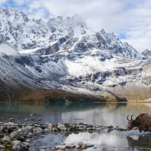 Explore Gokyo Valley Trek and Helicopter Return to Kathmandu for 12 days with Alpine Club of Himalaya and discover unforgettable experiences - Photo 2