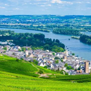 Explore Swiss Alps & Rhine Castles (Christmas Cruise) 2025 for 8 days with AmaWaterways and discover unforgettable experiences - Photo 3