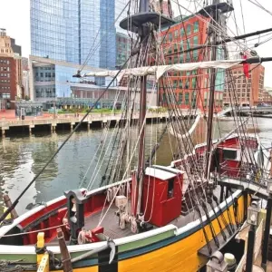 Explore Boston, Cambridge and Harvard - 1 Day for 1 days with Amadeo and discover unforgettable experiences - Photo 6