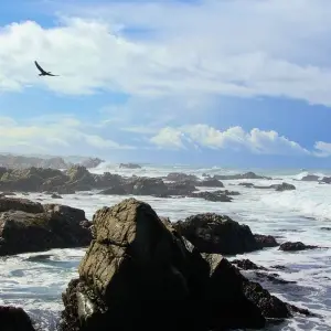 Explore Wild West – 5 days for 5 days with Amadeo and discover unforgettable experiences - Photo 6