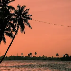 Explore Mystic India for 14 days with Amazing India Tours and discover unforgettable experiences - Photo 6