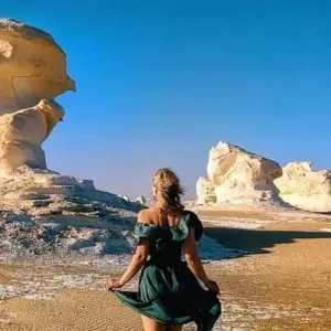 Explore 14 Days Cairo, Alexandria, Nile Cruise & El Bahariya Oasis, Sharm for 14 days with Ancient Egypt Tours and discover unforgettable experiences - Photo 11
